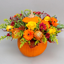 Dovleacul fermecat - aranjament cu gerbera și trandafiri